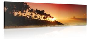 Quadro su tela – Tramonto in Sri Lanka