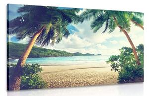 Quadro su tela – Tramonto sull'isola delle Seychelles