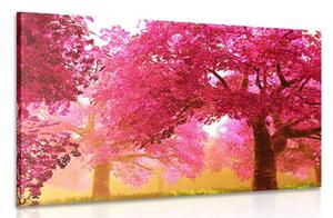 Quadro su tela – Magici alberi di ciliegio in fiore
