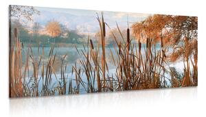 Quadro su tela – Fiume nel mezzo della natura autunnale