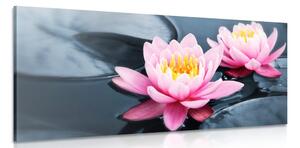 Quadro su tela – Fiore di loto nel lago