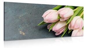 Stampa su tela – Tulipani rosa pastello