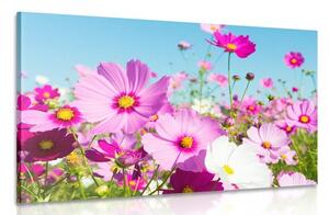 Quadro su tela – Prato di fiori primaverili
