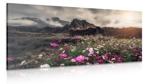 Quadro su tela – Prato di fiori in fiore
