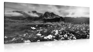 Stampa su tela – Prato di fiori in fiore in bianco e nero