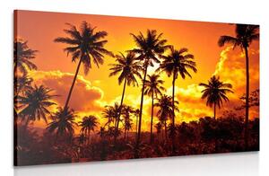 Quadro su tela – Palme di cocco sulla spiaggia