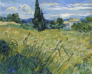 Riproduzione Green Wheat Field with Cypress 1889, Vincent van Gogh