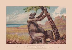 Illustrazione Megatherium americanum extinct giant ground sloth, ZU_09