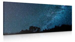 Quadro su tela – Via Lattea tra le stelle