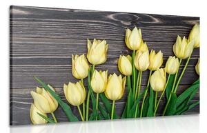 Quadro su tela – Incantevoli tulipani gialli su sfondo di legno