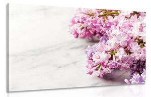 Quadro su tela – Splendidi fiori su sfondo di marmo