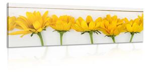 Quadro su tela – Fiori gialli stupendi
