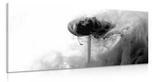 Stampa su tela – Fiore interessante in bianco e nero