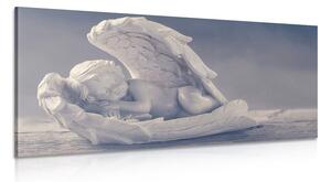 Quadro su tela – Angioletto addormentato