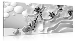 Stampa su tela – Orchidea in bianco e nero su sfondo astratto