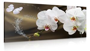 Quadro su tela – Orchidea e farfalla