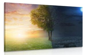 Quadro su tela – Giorno e notte