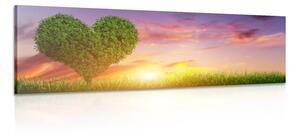 Stampa su tela – Albero a forma di cuore nel prato