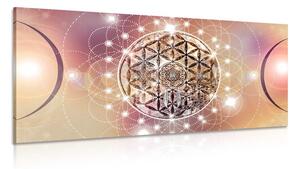 Quadro su tela – Mandala affascinante