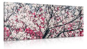 Quadro su tela – Fiori di pesco