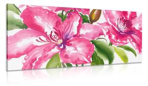 Quadro su tela – Fiori meravigliosi