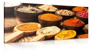 Stampa su tela – Spezie ed erbe aromatiche