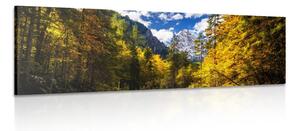 Stampa su tela – Paesaggio montano
