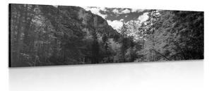 Quadro su tela – Paesaggio montano in bianco e nero