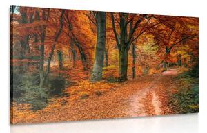 Stampa su tela – Foresta in autunno