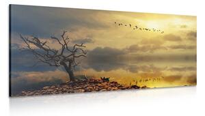 Quadro su tela – Albero secco