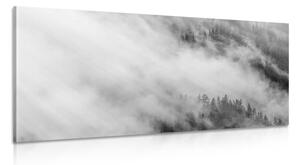 Stampa su tela – Foresta nebbiosa in bianco e nero
