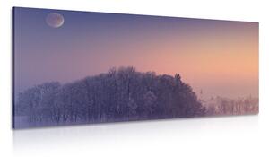 Quadro su tela – Luna piena sopra il villaggio