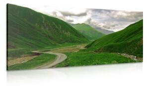 Stampa su tela – Natura verde