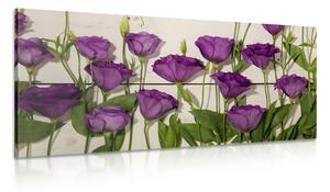 Stampa su tela – Splendidi fiori viola