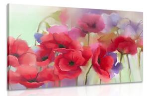 Quadro su tela – Splendidi papaveri disegnati