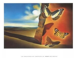 Stampe d'arte Landscape with Butterflies 1956, Salvador Dalí, (80 x 60 cm)