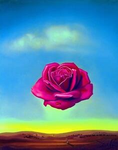 Stampe d'arte Salvador Dali - Medative Rose, (50 x 70 cm)