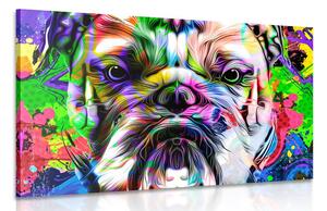 Quadro su tela – Bulldog pop-art