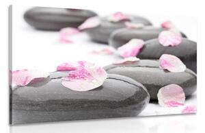 Stampa su tela – Petali su pietre wellness