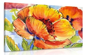 Quadro su tela – Bouquet di fiori di papavero