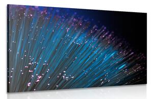 Quadro su tela – Fibra ottica
