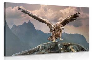 Stampa su tela – Aquila con ali spiegate sopra le montagne