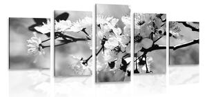 Quadri 5 pezzi – Fiore di ciliegio in bianco e nero