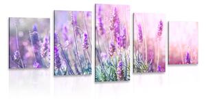 Quadri 5 pezzi – Fiori magici di lavanda