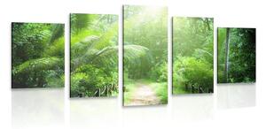 Quadri 5 pezzi – Sentiero sull'isola delle Seychelles