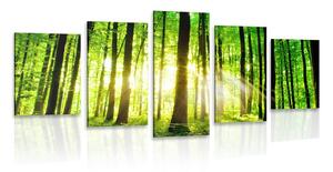 Quadri 5 pezzi – Foresta verde fresca