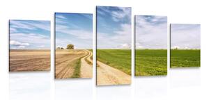 Quadri 5 pezzi – Paesaggio incantevole