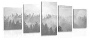Quadri 5 pezzi – Nebbia sulla foresta in bianco e nero