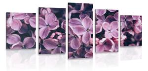 Quadri 5 pezzi – Fiori lilla