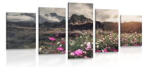Quadri 5 pezzi – Prato di fiori in fiore